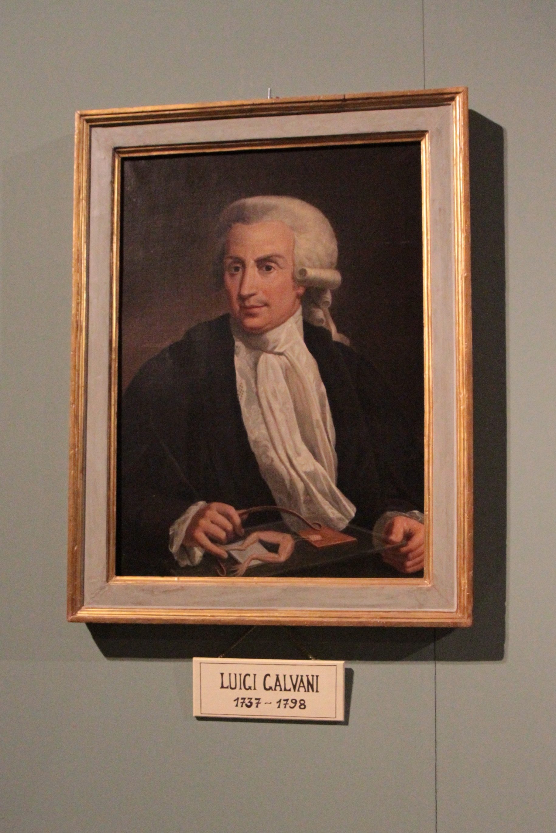 Luigi%20Galvani%27s%20portrait%20by%20Sante%20Nucci%2C%20Palazzo%20Poggi%2C%20Bologna.JPG